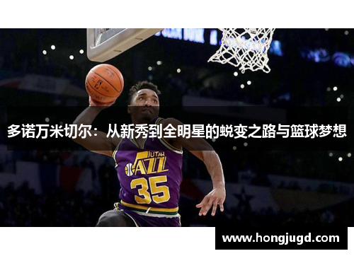 多诺万米切尔：从新秀到全明星的蜕变之路与篮球梦想
